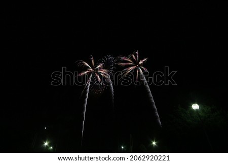 Nagoya Port Art Fireworks Festival