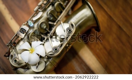 saxophone with flower on fresh nature in classic mood music concept
