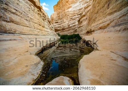 A canyon in the Desert with streaming water