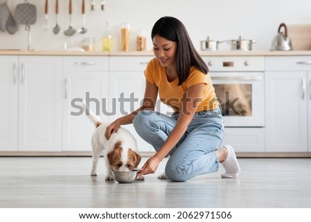 Loving pretty korean lady in casual petting her fluffy dog jack russel terrier while feeding it, cozy kitchen interior, panorama, copy space. Healthy nutritive full of vitamins and minerals dog food Royalty-Free Stock Photo #2062971506