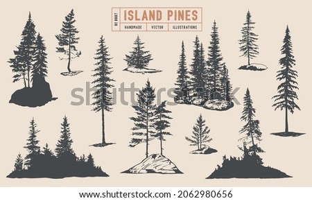 Pine tree silhouette vector hand drawn illustrations. Coniferous trees on the rocks, isolated on white background.