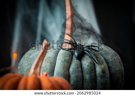 Halloween dark background. Orange and grey pumpkin. huge black spider with cobweb. Theme of fear on night of October the 31