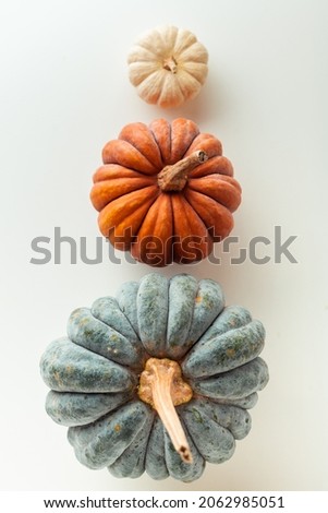 Flat lay of orange grey and white pumpkins on the white background. Halloween background