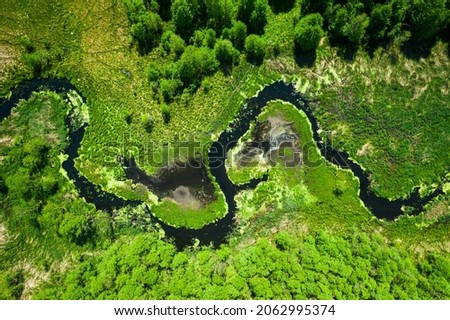 Flying above river and green forest in summer. Aerial view of wildlife in Poland, Europe