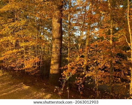 Autumn in Maising, Bavaria. October