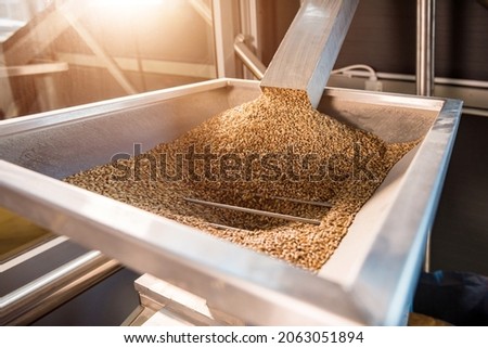 The technological process of grinding malt seeds at the mill Royalty-Free Stock Photo #2063051894