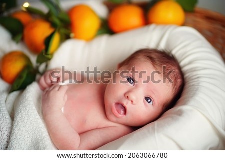 Caucasian newborn baby lies in a basket with tangerines under a white blanket. High quality photo