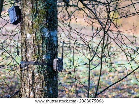 Forest animal tracking motion camera attached  to the tree in nature.
