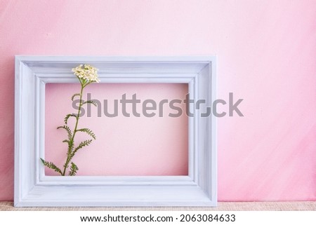 A white yarrow flower with a blank picture frame in front of a pink painted canvas background; Single stem of a yarrow flower decorates a white picture frame
