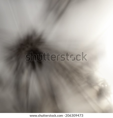 Artistic silhouette of flowers against the sun - Blurred