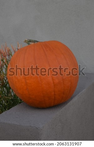 Pumpkin on wall for Halloween 