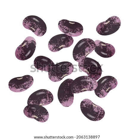 Hand drawn illustration of purple beans