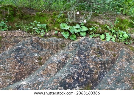 Stone surface and stone texture closeup