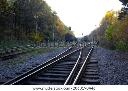 Railway tracks.Trains and wagons standing on the railway tracks against the background of autumn nature.