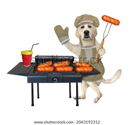 A dog labrador in a blue chef hat and an apron with a barbecue fork cooks sausage on an electric grill. White background. Isolated.