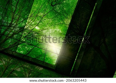 Eco-friendly building in the modern city. Green tree branches with leaves and sustainable glass building for reducing heat and carbon dioxide. Office building with green environment. Go green concept. Royalty-Free Stock Photo #2063205443