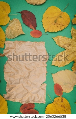 Autumn mockup with yellow, red leaves. Fir cones and a white sheet of paper for the inscription.