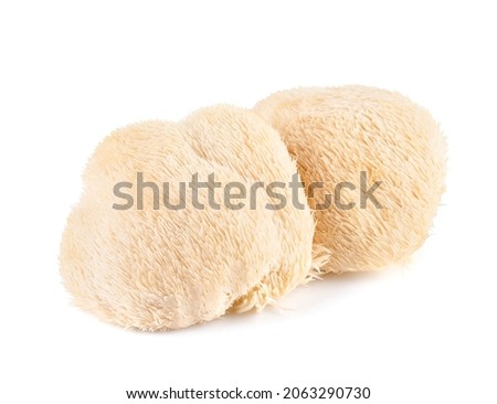 lion mane mushroom isolated on white background. Royalty-Free Stock Photo #2063290730