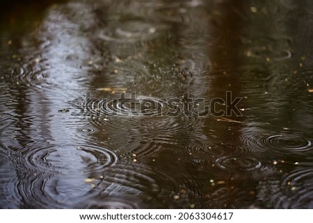 rain puddle circles, aqua abstract background, texture autumn water