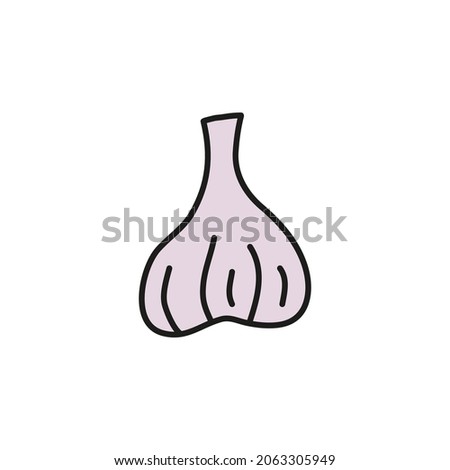 Doodle colored garlic isolated on white background. Hand drawn vegetable.