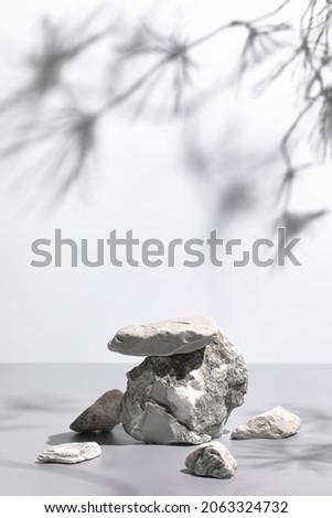 Abstract nature scene with composition of gray stones and pine tree leaves shadows. Neutral background with podium for cosmetic or beauty product, branding, packaging mockups. Copy space, front view