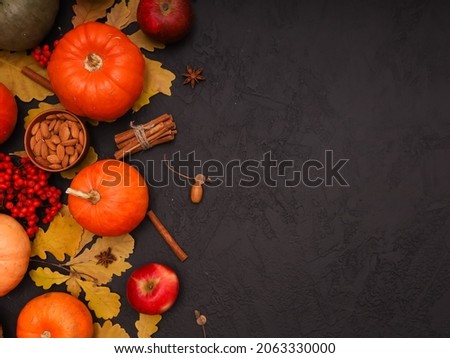 Orange pumpkins, yellow oak leaves, nuts, red berries, fruits, ripe apples on dark black table background. Top view, copy space. Autumn seasonal harvest, fall holidays, thanksgiving day concept.