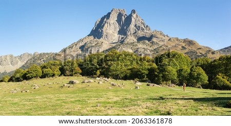 Man walking through a green meadow in front of a autumnal beech forest with Pic du Midi d' Ossau at the background. Trekking day at french Pyrenees. Adventure solo travel. 