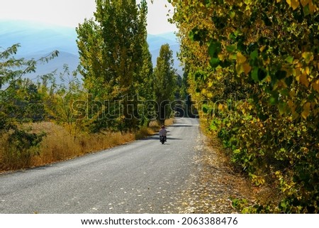 Forest road in autumn, man traveling by motorcycle on forest road with mountain view in autumn.