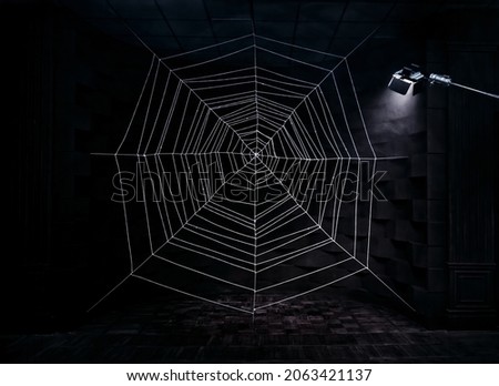 Celebration halloween holiday backdrop, huge white spider web. Gothic abstract Cobweb texture on black background in dark studio room. Festive party. Free space for text.