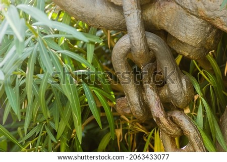 Heavy links of a thick anchor chain - close-up of a museum space in the city of Herceg Novi, Montenegro.