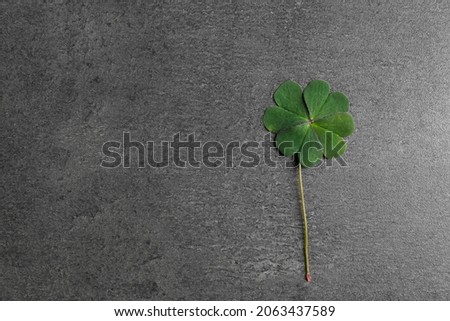 Green four leaf clover on grey table, top view. Space for text