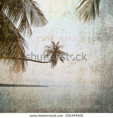 vintage palm concept