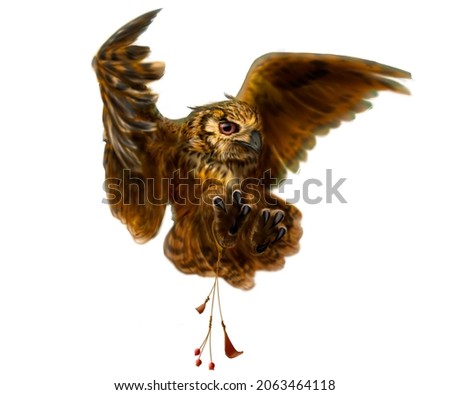  the owl attacks