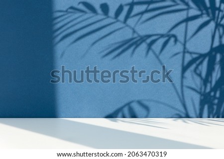 Minimal abstract blue-white background for the presentation of a cosmetic product. Premium podium with a shadow of tropical palm leaves on a blue wall and white table. Showcase, display case. Royalty-Free Stock Photo #2063470319