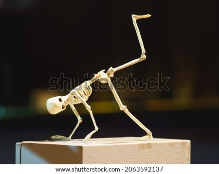 Photograph of a dancing skeleton toy on a bench at night in the public park. Natural dark background. He having fun. Halloween concept.