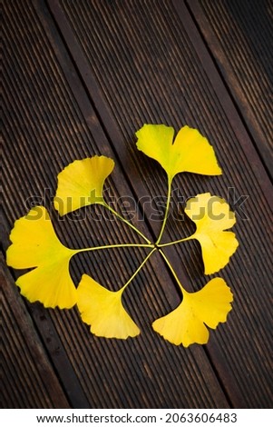 Round flower-shaped pattern of yellow kinkgo biloba leaves on wooden strips.