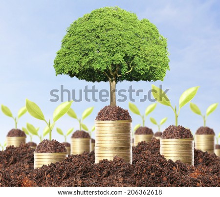 green plant on the gold coins 