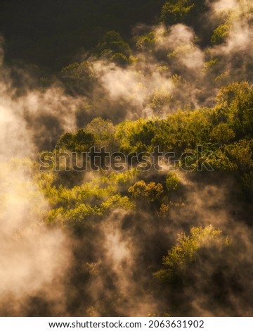 Clouds of steam rise through the trees during sunrise above the Buffalo River in the valley below Whitaker Point, known as Hawksbill Crag, near Ponca, Arkansas. Royalty-Free Stock Photo #2063631902