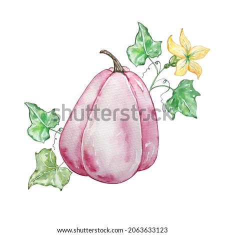 Watercolor autumn composition with a pink pumpkin and a branch with yellow flowers. Illustration for invitations, typography, print and other designs.

