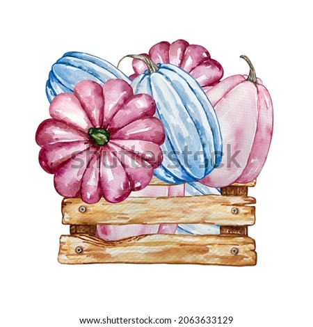 Watercolor autumn composition with pink and blue pumpkins in a wooden box. Illustration for invitations, typography, print and other designs.

