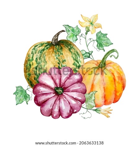 Watercolor autumn composition with yellow and pink pumpkin and a branch with yellow flowers. Illustration for invitations, typography, print and other designs.