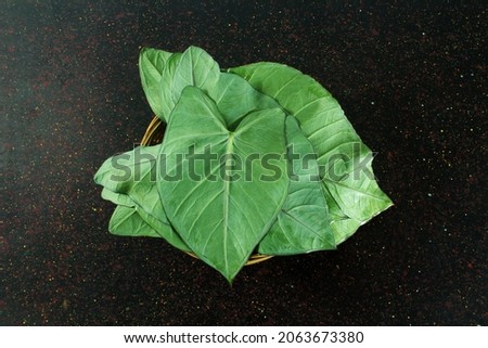 indian gujarati food leaves colocassia leaves also known as patra,arbi leaves or taro leaves top view