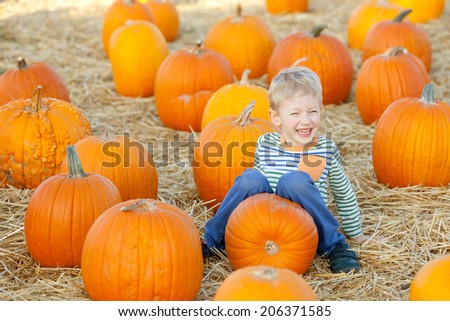 little boy having fun at pumpkin patch at fall