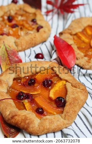 Pumpkin tart close up photo. Squash galette with cranberries, honey and cinnamon. Thanksgiving day dessert. Food still life. Autumn on a table. 