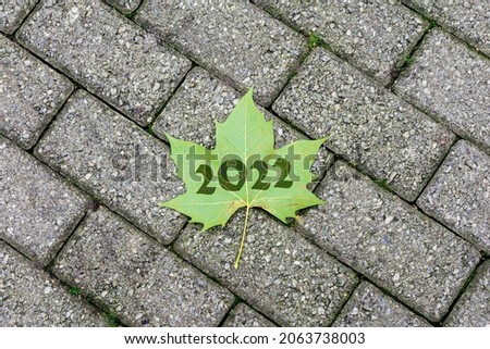 2022 in a maple leaf on the ground.