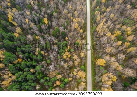 Aerial view from drone of rural road leading through autumn forests and groves in yellow green colors. Dense forest in golden time and empty highway in fall season. Roadway among colorful treetops