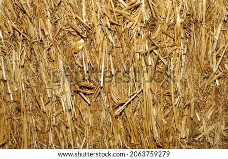 Golden hay straw background. Straw bail close up.