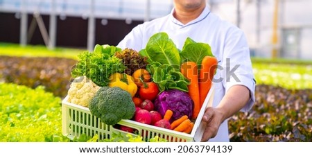 Portrait of Smiling Asian man chef holding a crate of fresh organic vegetables in hydroponics greenhouse plantation. Small business food delivery, restaurant and supermarket advertising concept Royalty-Free Stock Photo #2063794139