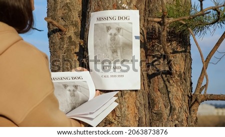 Brunette lady owner in beige hoodie hangs poster of missing dog and strokes photo on tree trunk in city park on sunny autumn day, close view