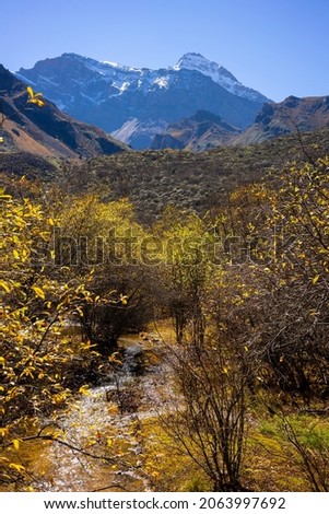 Autumn scenery of Huanglong. Huanglong Scenic Area is located in Songpan County, Sichuan, China. 
The peak in the picture is the main peak of Minshan mountain range-Xuebaoding.
